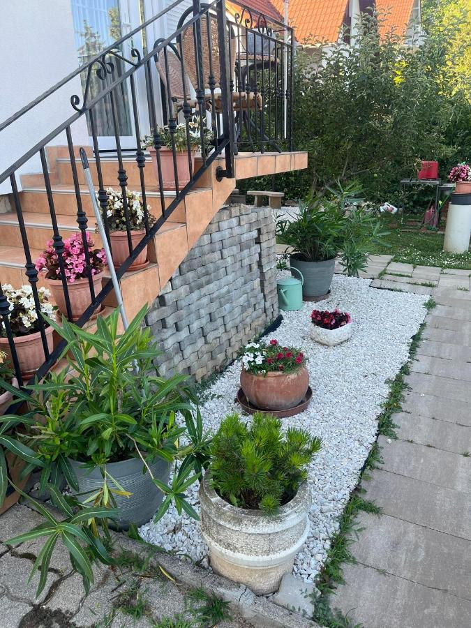 Rege Apartman 2 Alsoors Exterior photo